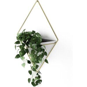 Hanging Planter Vase Wall Decor, Pot and Container for Succulents, Faux Plants